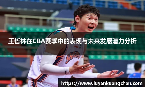王哲林在CBA赛季中的表现与未来发展潜力分析
