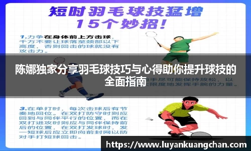 陈娜独家分享羽毛球技巧与心得助你提升球技的全面指南
