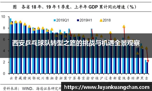 西安乒乓球队转型之路的挑战与机遇全景观察