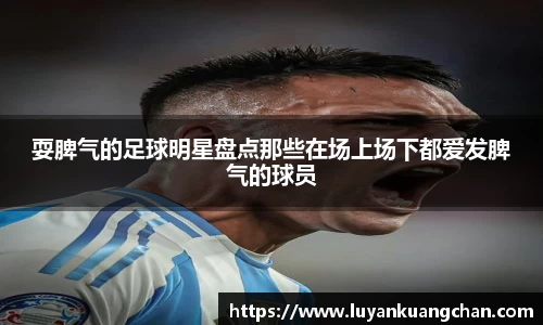 耍脾气的足球明星盘点那些在场上场下都爱发脾气的球员