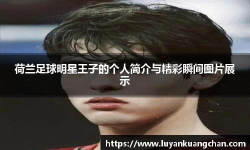 荷兰足球明星王子的个人简介与精彩瞬间图片展示