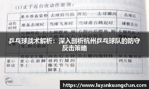 乒乓球战术解析：深入剖析杭州乒乓球队的防守反击策略